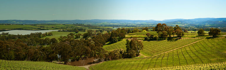 Coldstream Hills Coming Soon