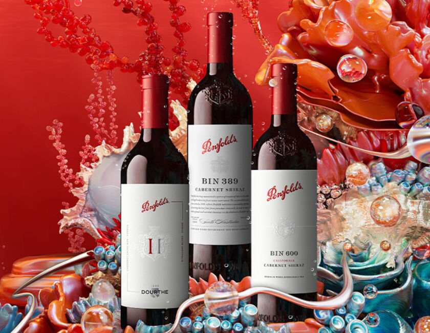 penfolds 2023 collection