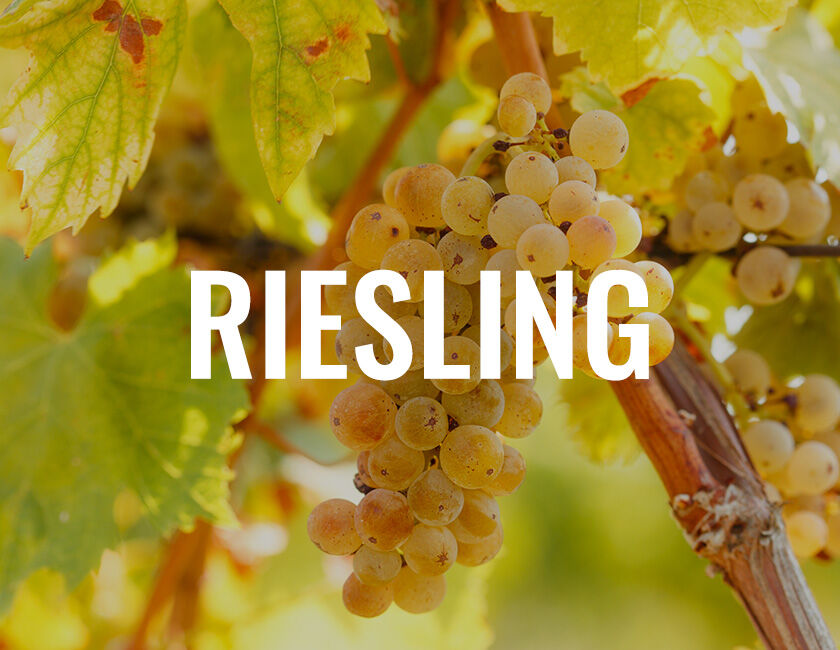 Riesling