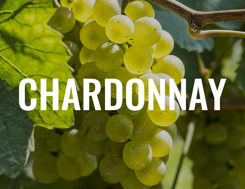 Chardonnay