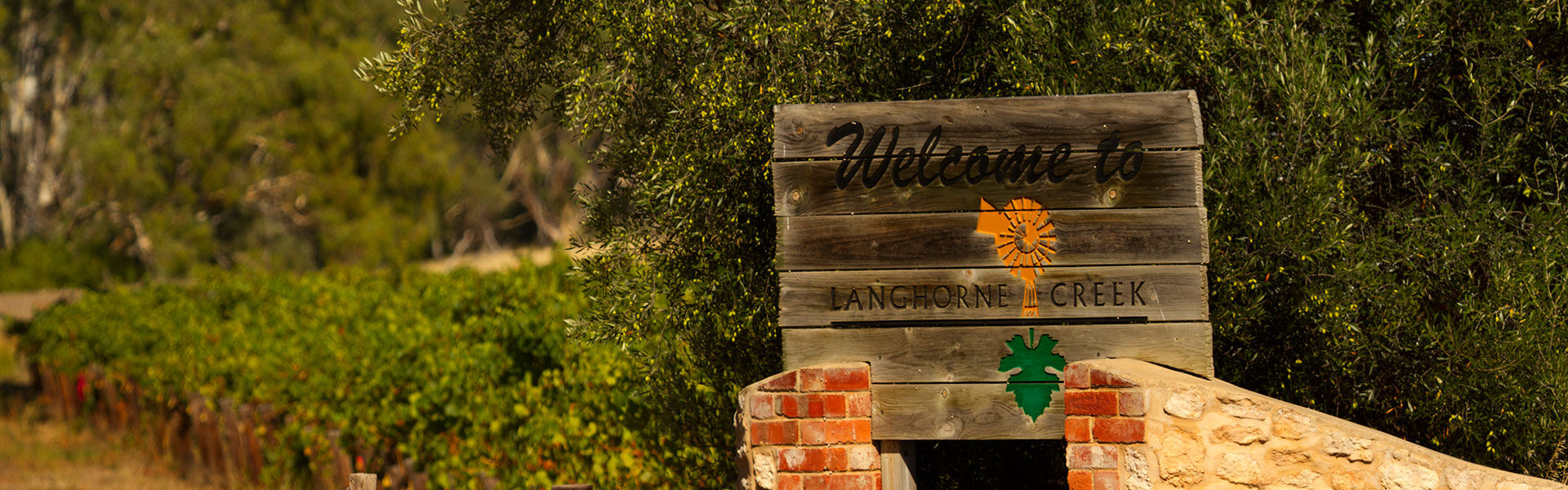 Regional Spotlight: LanghorneCreek
