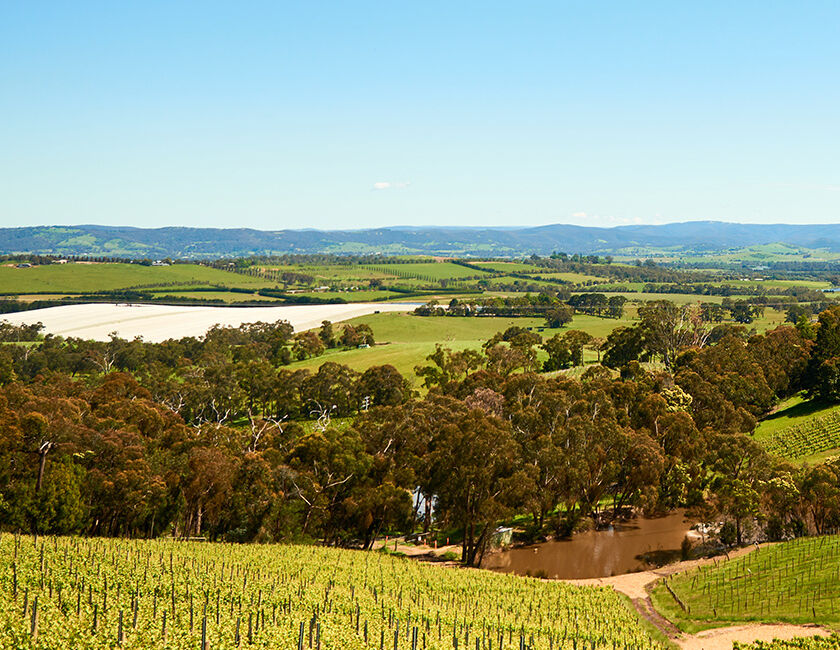 Coldstream Hills Coming Soon
