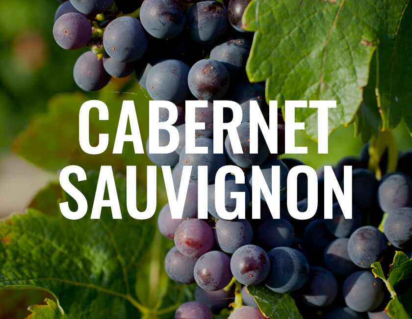 Cabernet Sauvignon