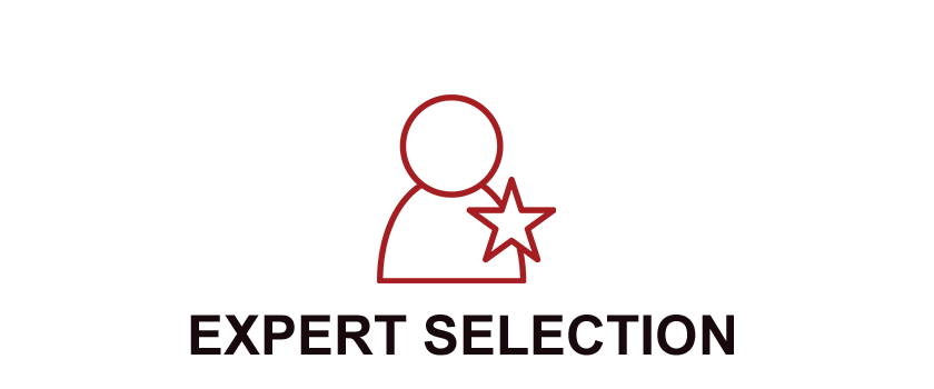 Expert Selection Icon