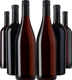 Luxury Collection Wynns (June 2023)