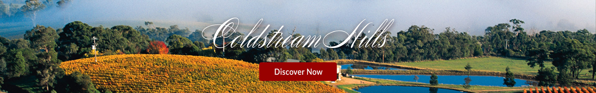 desktop banner