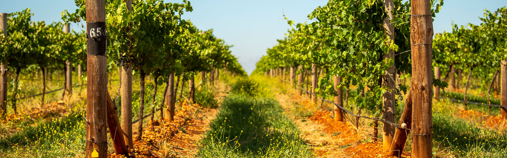 Coonawarra